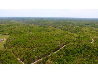 Property photo 6 - LAND AUCTION - 1,682+/- ACRES OFFERED IN 17 TRACTS IN LEWIS & GREENUP COUNTIES, KENTUCKY